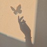 Anna Harvinson